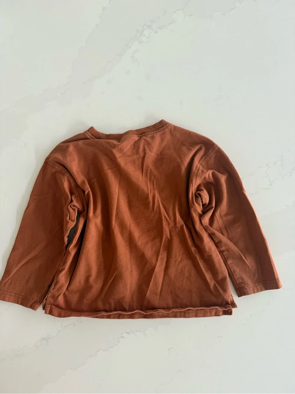 Zara dino tee